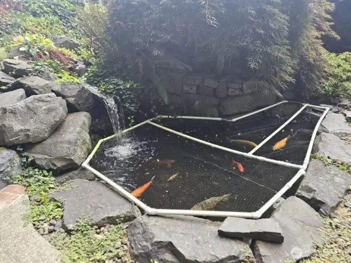 A serene waterfall cascades into a mature koi pond, creating a peaceful retreat.”
