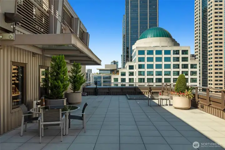 Dining, sunning, barbecuing, enjoying, relaxing, entertaining and pet relief area too on the rooftop deck.