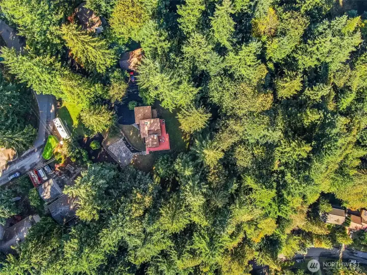 Top down view shows the expansive property surrounding the home.