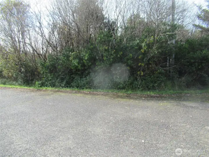 VIEW OF 4 DRIFTWOOD WHICH IS ONE OF FOUR INDIVIDUAL PROPERTIES COMBINED TO MAKE THE +/- 41/2 ACRES BEING OFFERED!