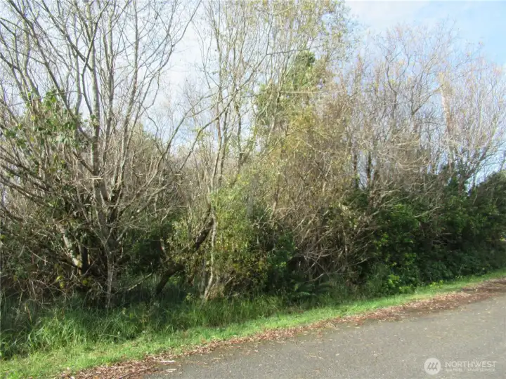 VIEW OF 12 DRIFTWOOD WHICH IS ONE OF FOUR INDIVIDUAL PROPERTIES COMBINED TO MAKE THE +/- 4 1/2 ACRES BEING SOLD!