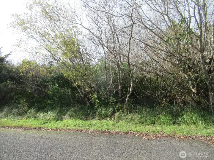 ANOTHER VIEW OF 16 DRIFTWOOD WHICH IS ONE OF FOUR INDIVIDUAL PROPERTIES COMBINED TO MAKE THE +/- 4 1/2 ACRES BEING SOLD!