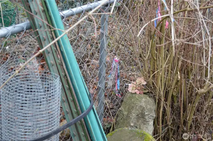 SE corner of lot is the white marker