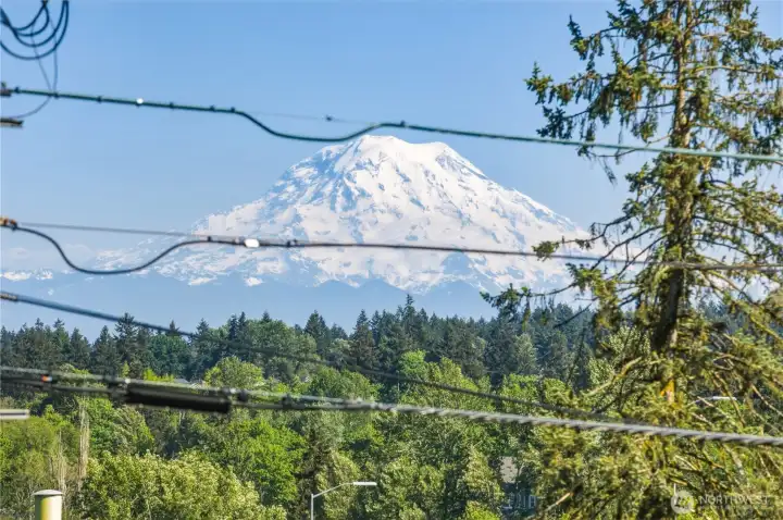 Mt Rainier Views.