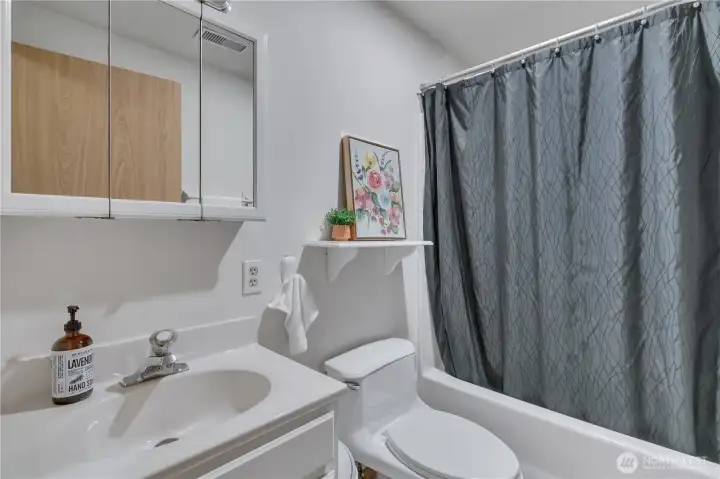 Main Bath downstairs