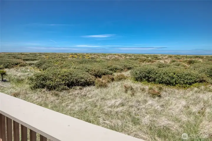 Wildlife is abundant in the dunes below you.  Watch for deer, coyotes, eagles and more!