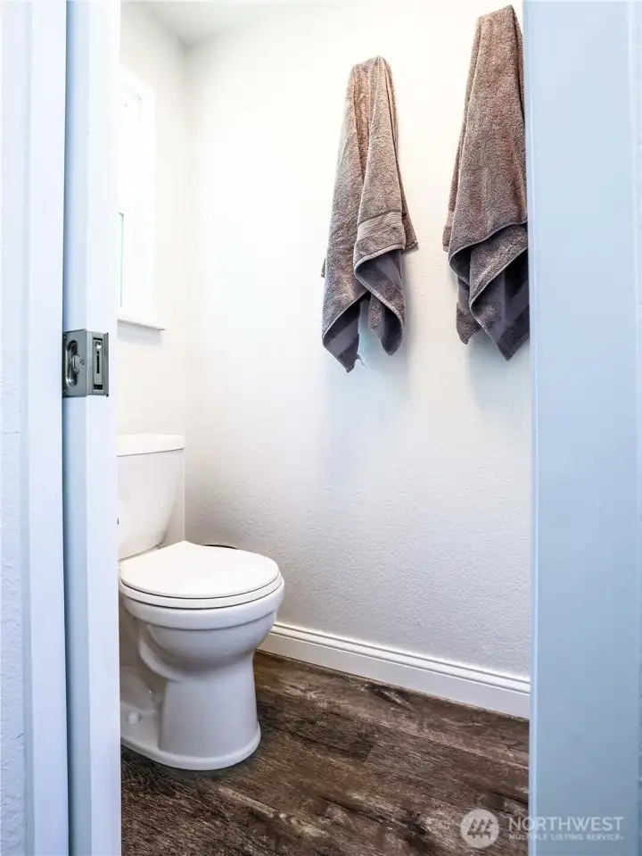 Master bathroom toilet