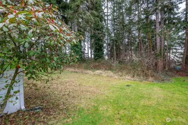 Wooded Area Offers Privacy