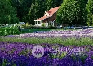 Lavender farm easy access a couple minutes by foot.