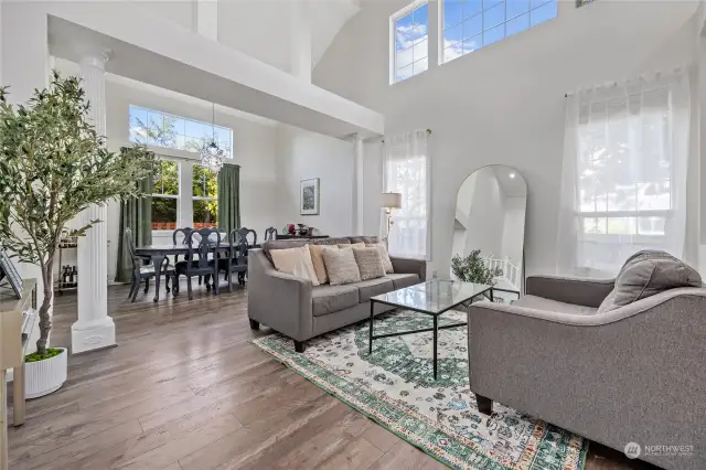 Enter into the light and bright living room and dining room boasting 2 story vaulted ceilings, the natural light in here is amazing!