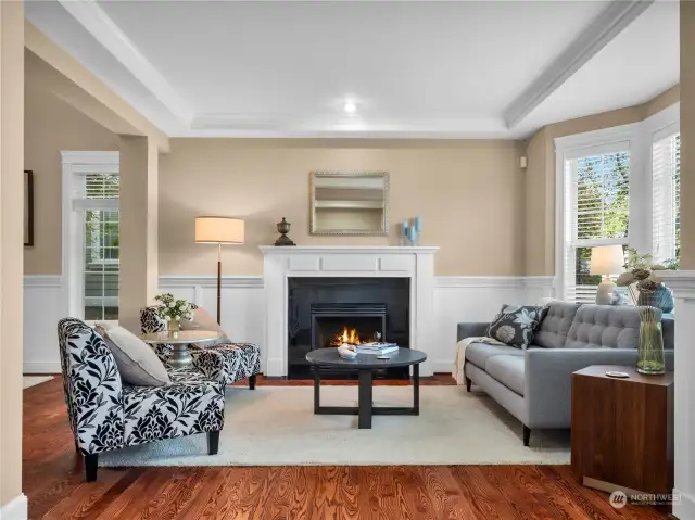 Charm and character would describe this formal living room with its classic fireplace, bay window, and tray ceiling.