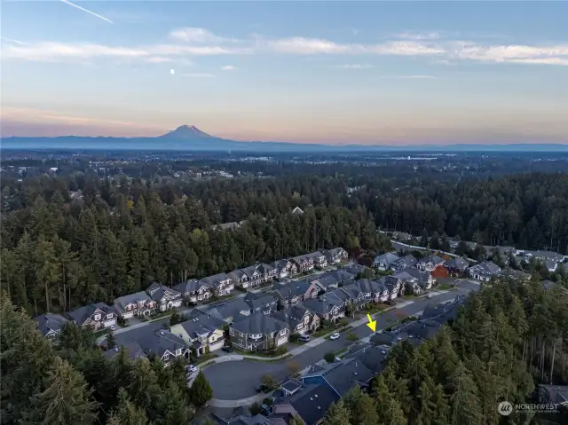 Experience the tranquility of a quiet neighborhood while enjoying the convenience of easy access to community amenities, Chambers Bay, Titlow Beach, JBLM, major hospitals, I-5 & HWY16, and the Tacoma Narrows Bridge.