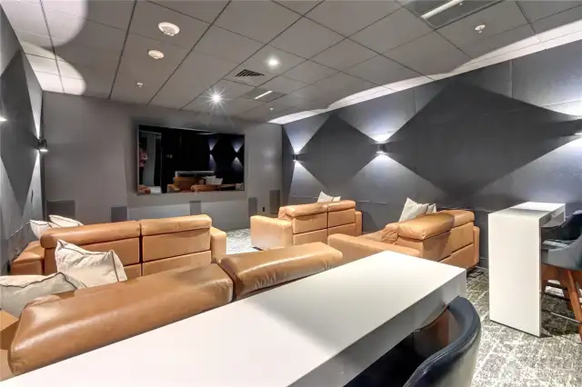 Private movie room.