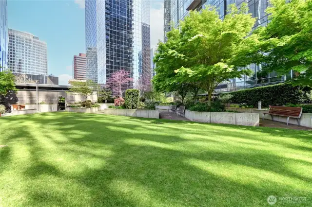 High rise outdoor bbq and nature area.