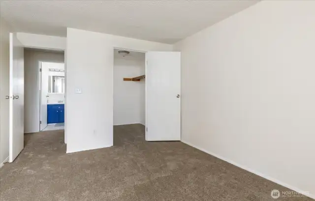Large walk-in closet.