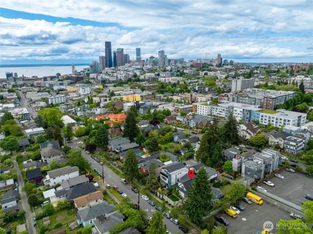 In the center of it all, yet quiet and calm. Minutes from downtown as well as the Judkins Park Light Rail Station .7 miles to the South.