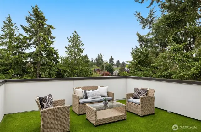 SynLawn is a UV safe grass that is on a sports deck and weighted with sand. Pets can use it as a relief station. Or practice your putting skills,