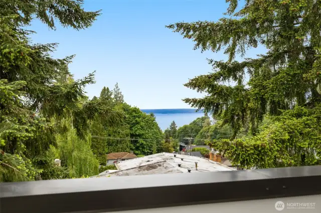 View of the Olympic Mountains and Sound
