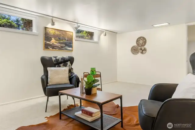 Lower Level Recreation Room
