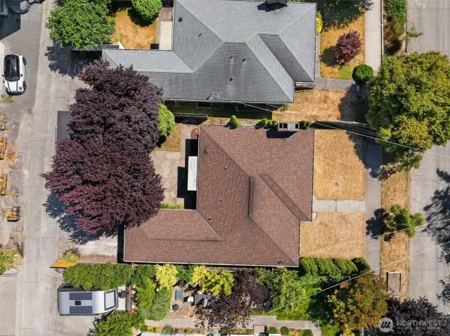 Aerial photo showing street & alley access (detached garage covered by tree)