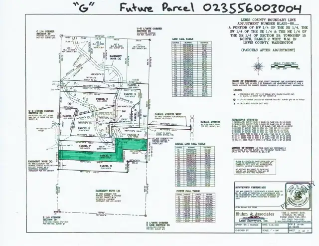 Survey with subject property highlighted in green.