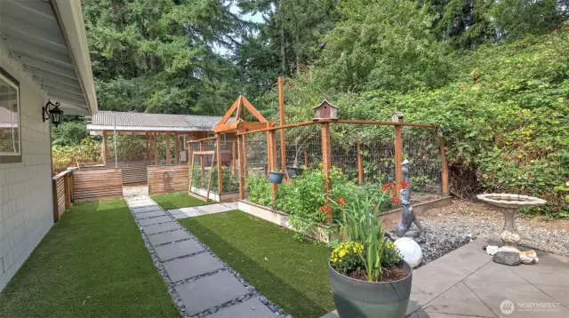 pet freindly turf is always green