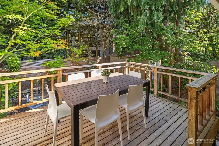 Back Deck