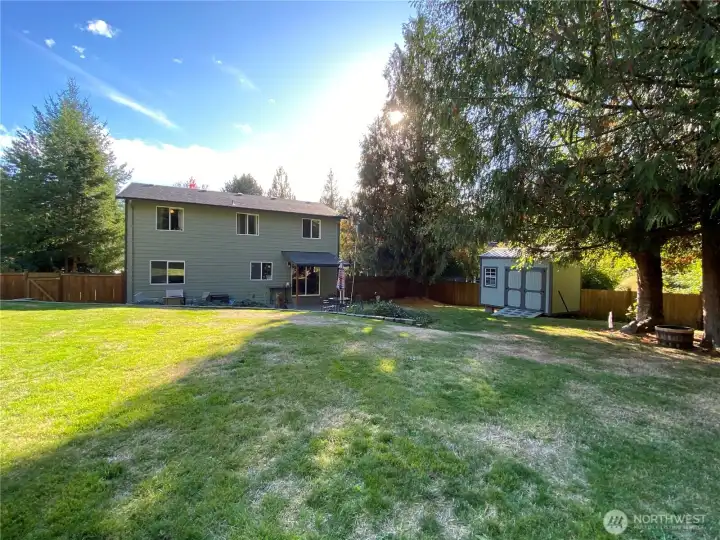 Back Yard