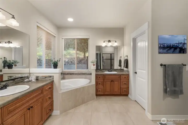 Spa-inspired bathroom with extra large tub and separate shower.