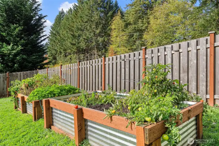 Raised garden beds to grow your own herbs and vegetables.