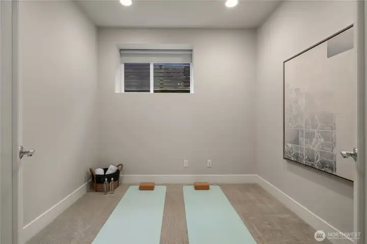 Lower Level - Bonus Room