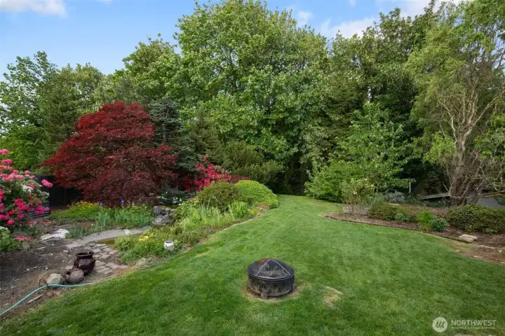 Lush garden bordered by forested land.