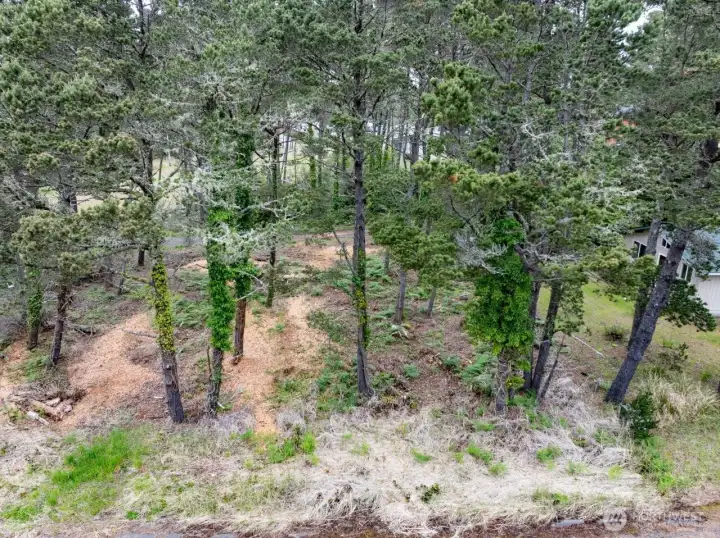 Lot looking toward the North