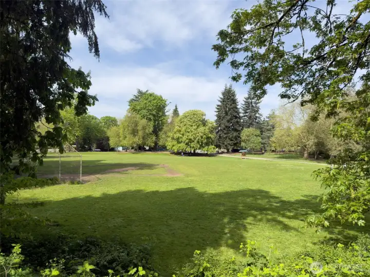 Ravenna park nearby Ravenna park nearby