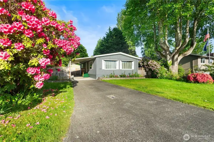 1254 4th Street Blaine 1254 4th Street Blaine