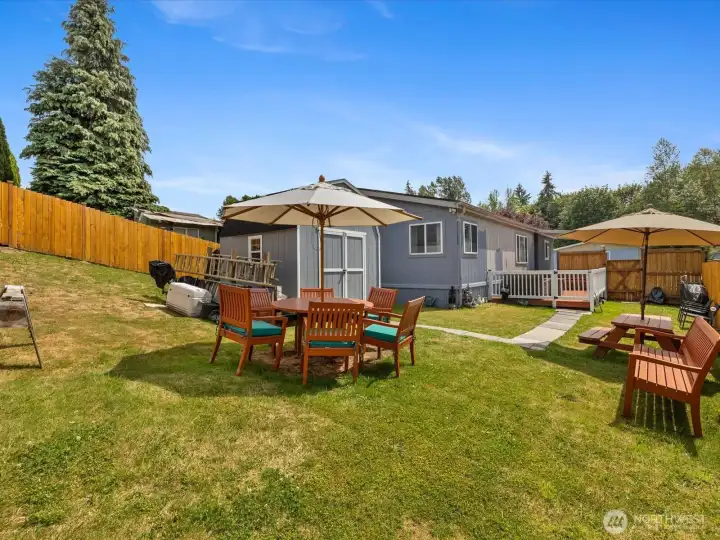 Entertaining back yard