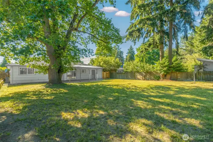 Large backyard featuring a covered patio for year-round outdoor enjoyment, mature shade trees, and abundant open space. Ideal for barbecues, gatherings, and relaxing outdoors.