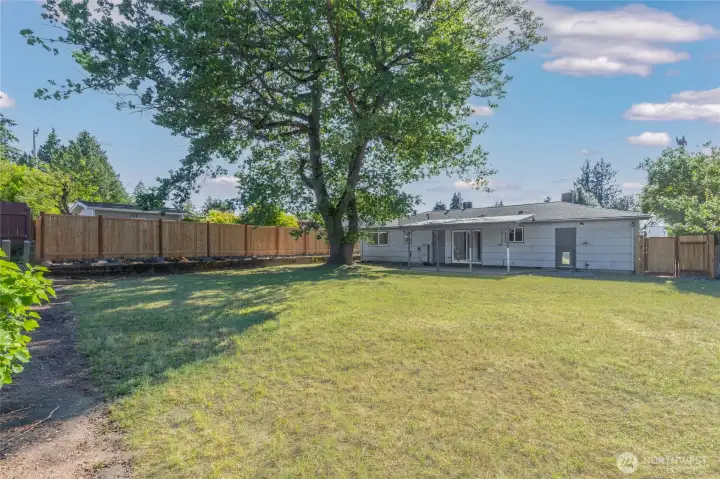 Spacious backyard with direct access from the home, mature landscaping, and room to create your ideal outdoor living environment.