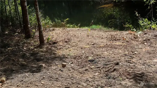 Going down to the lake