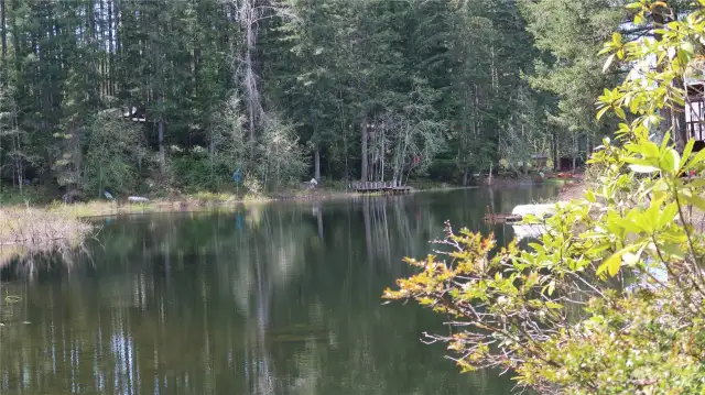 Collins Lake