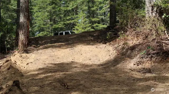 Driveway coming down to the lake.