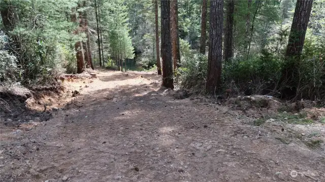 driveway coming into the property.