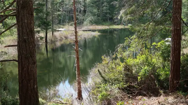 Nice view of the lake from property