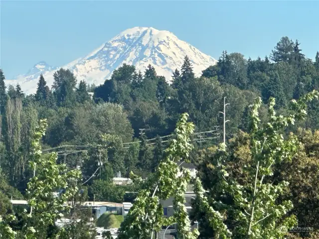 Beautiful Mt Rainier view from the Primary bedroom suite and roof top deck.