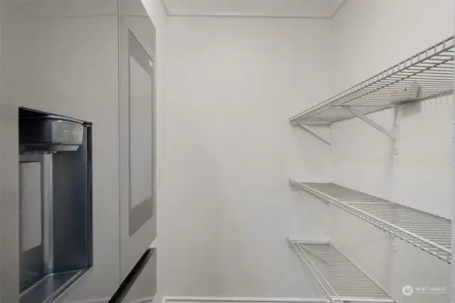 Walk-in Pantry