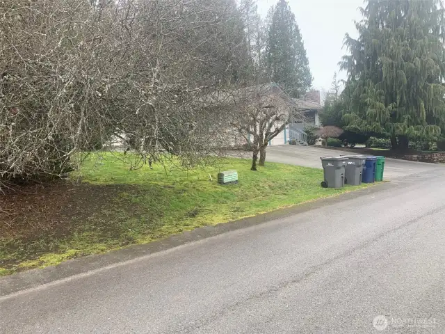 Lot goes into the woods to the left. Look for green ribbon