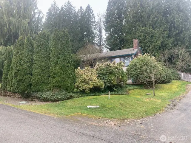 Survey stake at NE corner of property