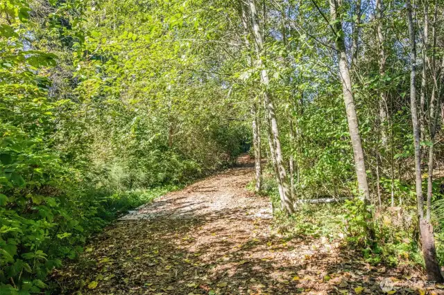 Multiple trails throughout your own private park. Many trails expansive enough for equestrian use.