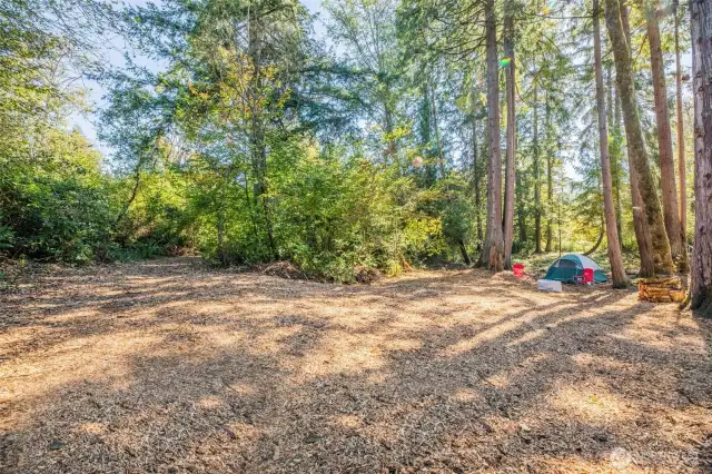 Need a getaway? Go camping... in your own forest. This is paradise.