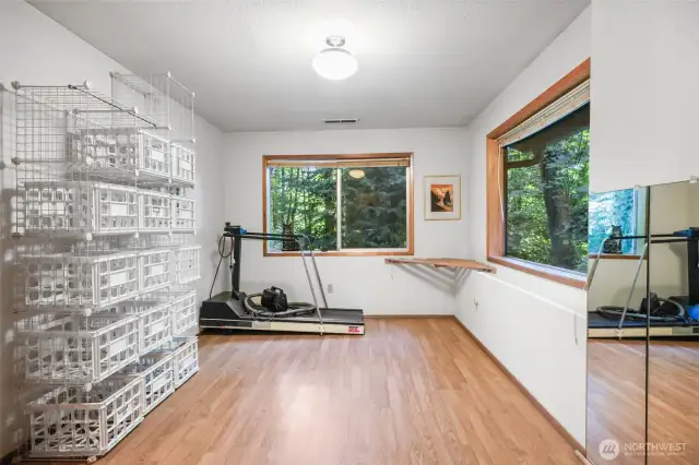 2nd Bedroom on Lowest Level(Primary Suite)